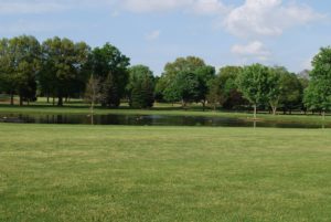 Beautiful shot of the course near water